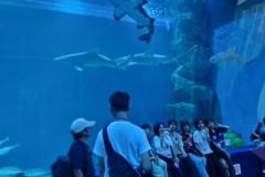 LINE_ALBUM_ทัศนศึกษา-day1_240517_3