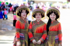 LINE_ALBUM__250107_11