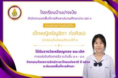 โรงเรียนบ้านปางเป๋ย - 1